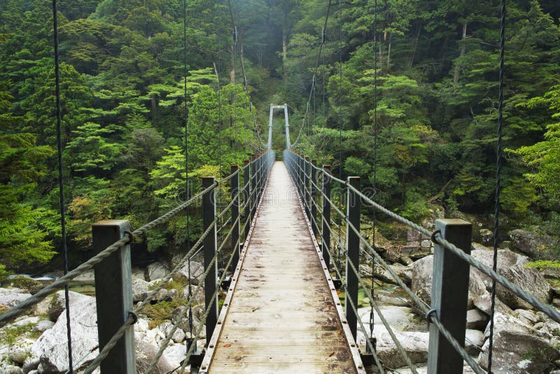 Sospensione ponte transizione un fiume esuberante foresta pluviale sul meridionale isola da (), Giappone.